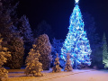 Rozsvícení vánočního stromku 1